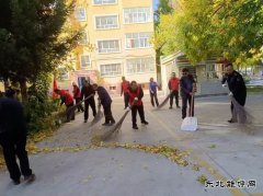 阿勒泰执法支队哈巴河执法大队：党员志愿服务在行动
